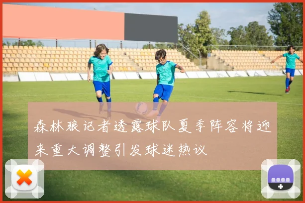 森林狼记者透露球队夏季阵容将迎来重大调整引发球迷热议